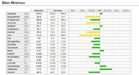 Cliquez pour agrandir